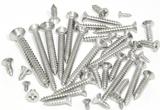 Stainless fastener